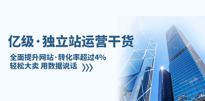 亿级·独立站运营干货：全面提升网站·转化率超过4%，轻松大卖 用数据说话-CAA8.COM网创项目网