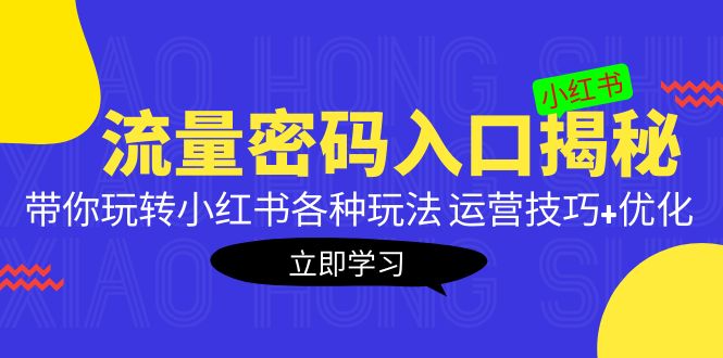 小红书流量密码入口揭秘：带你玩转小红书各种玩法 运营技巧+优化！-CAA8.COM网创项目网