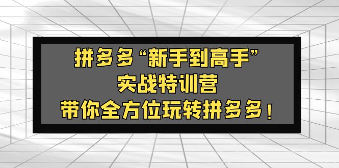 拼多多“新手到高手”实战特训营：带你全方位玩转拼多多！-CAA8.COM网创项目网