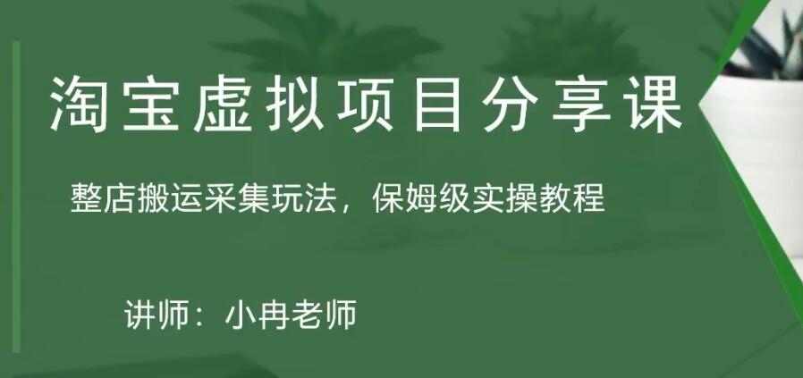 淘宝虚拟整店搬运采集玩法分享课：整店搬运采集玩法，保姆级实操教程-CAA8.COM网创项目网