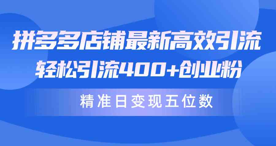 （10041期）拼多多店铺最新高效引流术，轻松引流400+创业粉，精准日变现五位数！-CAA8.COM网创项目网