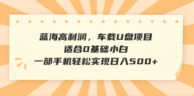 蓝海高利润，车载U盘项目，适合0基础小白，一部手机轻松实现日入500+-CAA8.COM网创项目网