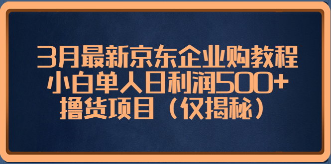 3月最新京东企业购教程，小白单人日利润500+撸货项目（仅揭秘）-CAA8.COM网创项目网