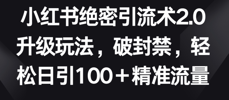 小红书绝密引流术2.0升级玩法，破封禁，轻松日引100+精准流量-CAA8.COM网创项目网