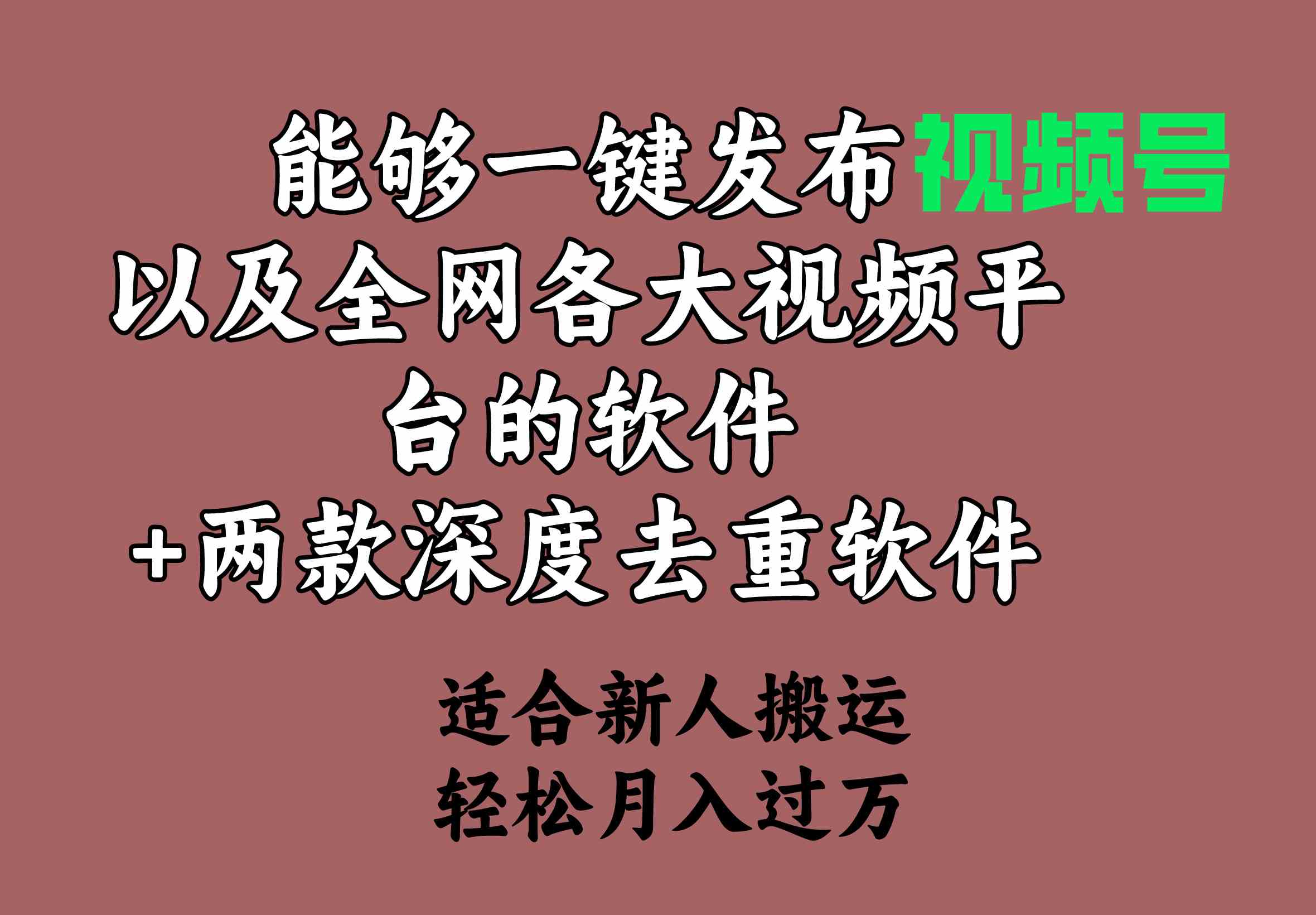 （9319期）能够一键发布视频号以及全网各大视频平台的软件+两款深度去重软件 适合…-CAA8.COM网创项目网