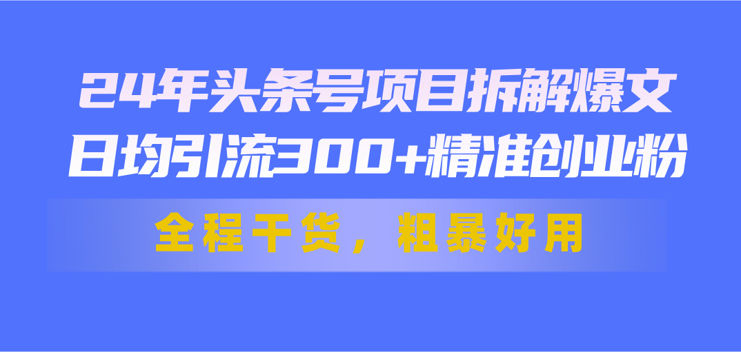 24年头条号项目拆解爆文，日均引流300+精准创业粉，全程干货，粗暴好用-CAA8.COM网创项目网