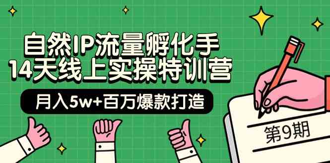 （9881期）自然IP流量孵化手 14天线上实操特训营【第9期】月入5w+百万爆款打造 (74节)-CAA8.COM网创项目网