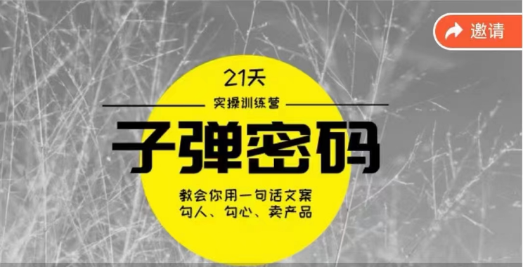 《子弹密码训练营》用一句话文案勾人勾心卖产品，21天学到顶尖文案大师策略和技巧-CAA8.COM网创项目网