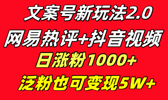 文案号新玩法 网易热评+抖音文案 一天涨粉1000+ 多种变现模式 泛粉也可变现-CAA8.COM网创项目网