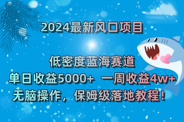 2024最新风口项目 低密度蓝海赛道，日收益5000+周收益4w+ 无脑操作-CAA8.COM网创项目网