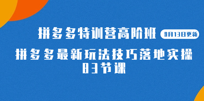 2023拼多多·特训营高阶班【9月19日更新】拼多多最新玩法技巧落地实操-83节-CAA8.COM网创项目网