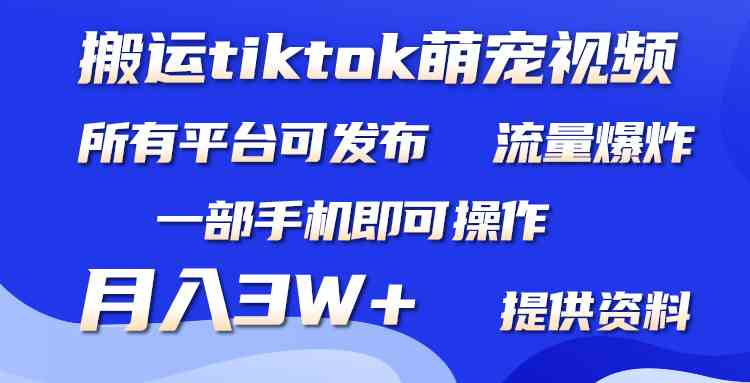 （9618期）搬运Tiktok萌宠类视频，一部手机即可。所有短视频平台均可操作，月入3W+-CAA8.COM网创项目网