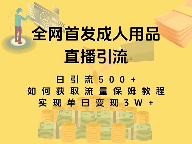 最新全网独创首发，成人用品直播引流获客暴力玩法，单日变现3w保姆级教程-CAA8.COM网创项目网