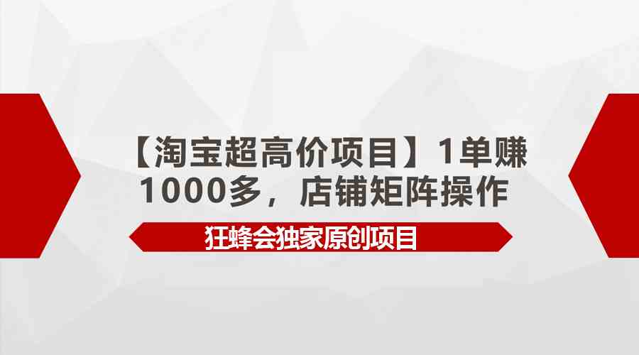 （9849期）【淘宝超高价项目】1单赚1000多，店铺矩阵操作-CAA8.COM网创项目网