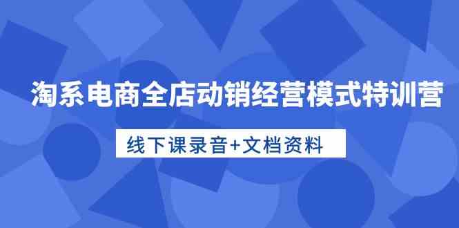 淘系电商全店动销经营模式特训营，线下课录音+文档资料-CAA8.COM网创项目网