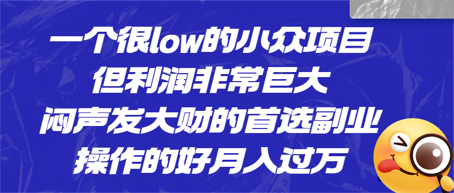 一个很low的小众项目，但利润非常巨大，闷声发大财的首选副业，月入过万-CAA8.COM网创项目网