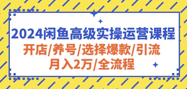 2024闲鱼高级实操运营课程：开店/养号/选择爆款/引流/月入2万/全流程-CAA8.COM网创项目网