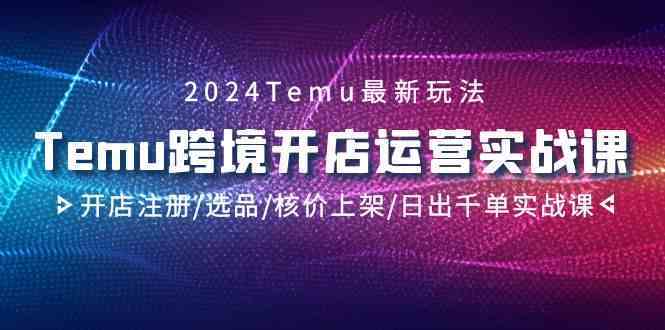 2024Temu跨境开店运营实战课，开店注册/选品/核价上架/日出千单实战课-CAA8.COM网创项目网