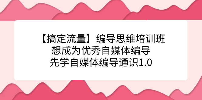 【搞定流量】编导思维培训班，想成为优秀自媒体编导先学自媒体编导通识1.0-CAA8.COM网创项目网