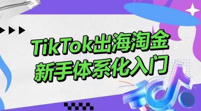 TikTok出海淘金，新手体系化入门，零基础快速入门，掌握短视频、直播带货等引流到变现的知识-CAA8.COM网创项目网