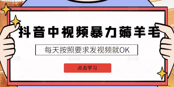 2022抖音中视频暴力薅羊毛白嫖项目：新号每天20块，老号几天几百块，可多号￼-CAA8.COM网创项目网