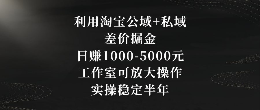 利用淘宝公域+私域差价掘金，日赚1000-5000元，工作室可放大操作，实操…-CAA8.COM网创项目网