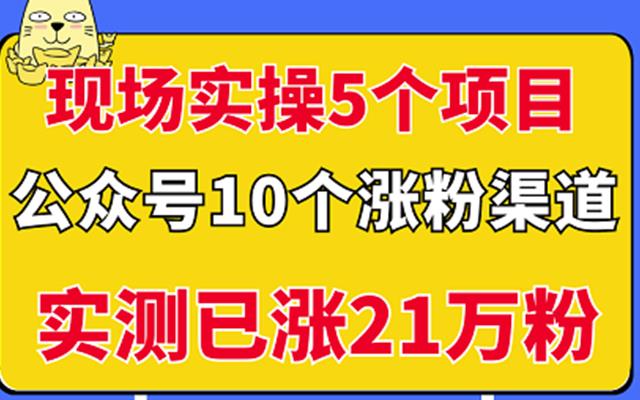 现场实操5个公众号项目，10个涨粉渠道，实测已涨21万粉！￼-CAA8.COM网创项目网