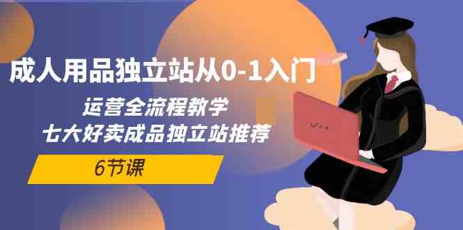 成人用品独立站从0-1入门，运营全流程教学，七大好卖成品独立站推荐（6节课）-CAA8.COM网创项目网