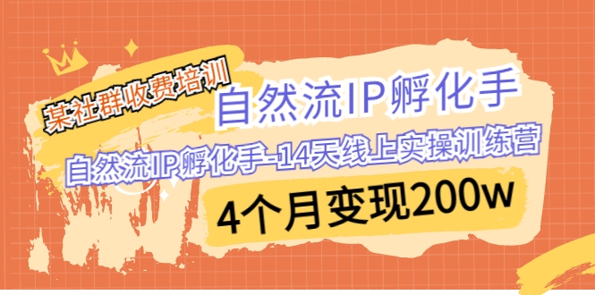 某社群收费培训：自然流IP 孵化手-14天线上实操训练营 4个月变现200w-CAA8.COM网创项目网