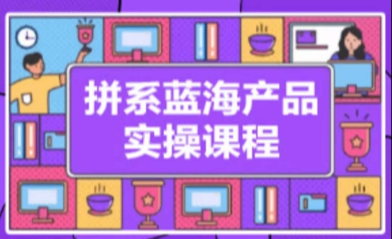 拼系冷门蓝海产品实操课程，从注册店铺到选品上架到流量维护环环相扣-CAA8.COM网创项目网