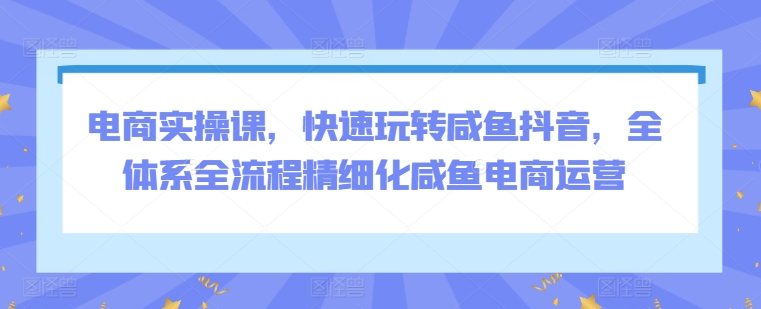 电商实操课，快速玩转咸鱼抖音，全体系全流程精细化咸鱼电商运营-CAA8.COM网创项目网