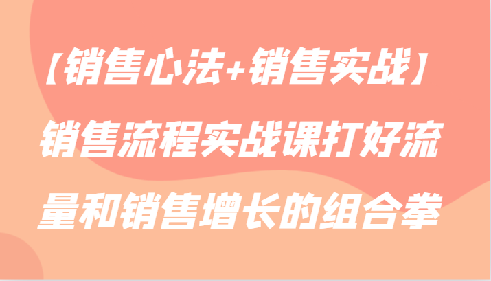 【销售心法+销售实战】销售流程实战课打好流量和销售增长的组合拳-CAA8.COM网创项目网