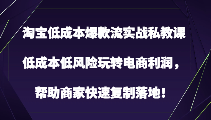 淘宝低成本爆款流实战私教课，低成本低风险玩转电商利润，帮助商家快速复制落地！-CAA8.COM网创项目网