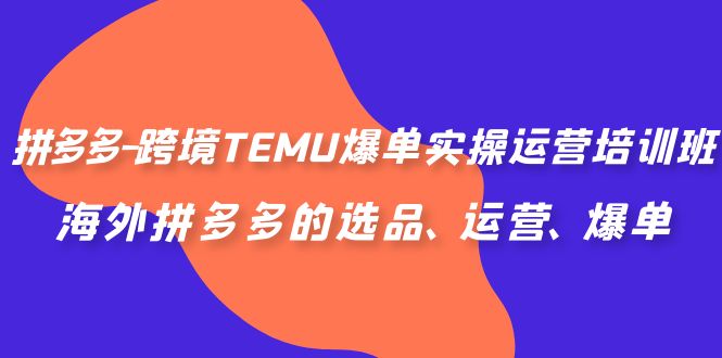 拼多多-跨境TEMU爆单实操运营培训班，海外拼多多的选品、运营、爆单-CAA8.COM网创项目网