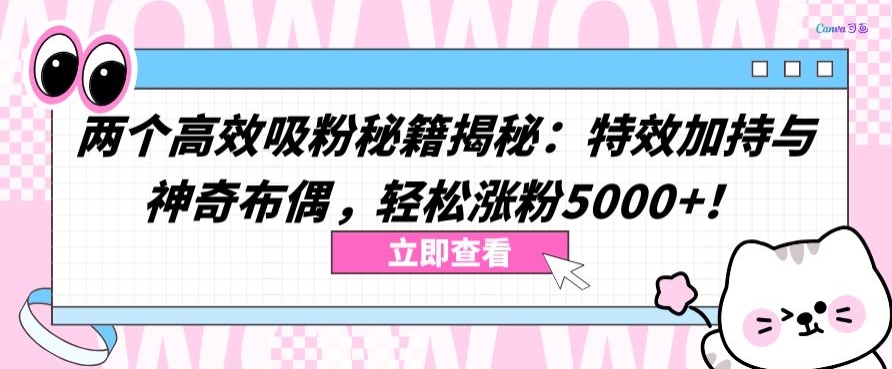 两个高效吸粉秘籍揭秘：特效加持与神奇布偶，轻松涨粉5000+-CAA8.COM网创项目网