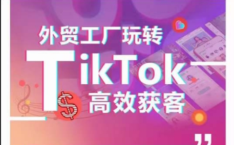 外贸工厂玩转TikTok高效获客，多种引流方式与账号定位技巧，拆解爆款短视频打造成功案例-CAA8.COM网创项目网