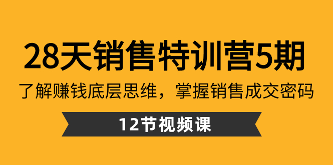 28天·销售特训营5期：了解赚钱底层思维，掌握销售成交密码（12节课）-CAA8.COM网创项目网