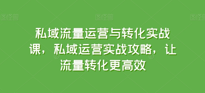 私域流量运营与转化实战课，私域运营实战攻略，让流量转化更高效-CAA8.COM网创项目网