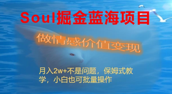 Soul掘金蓝海项目细分赛道，做情感价值变现，月入2w+不是问题-CAA8.COM网创项目网