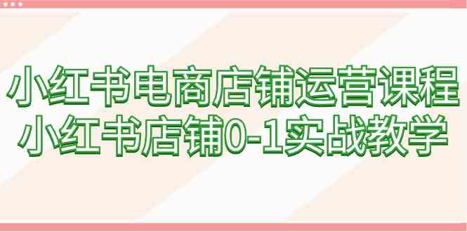 （9249期）小红书电商店铺运营课程，小红书店铺0-1实战教学（60节课）-CAA8.COM网创项目网