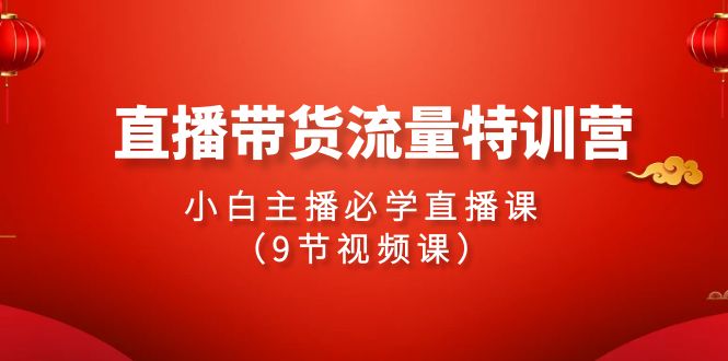 2024直播带货流量特训营，小白主播必学直播课（9节视频课）-CAA8.COM网创项目网