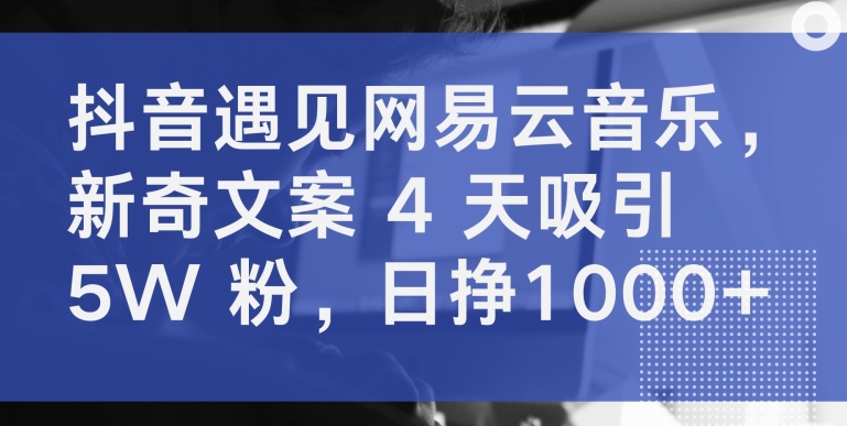 抖音遇见网易云音乐，新奇文案 4 天吸引 5W 粉，日挣1000+-CAA8.COM网创项目网